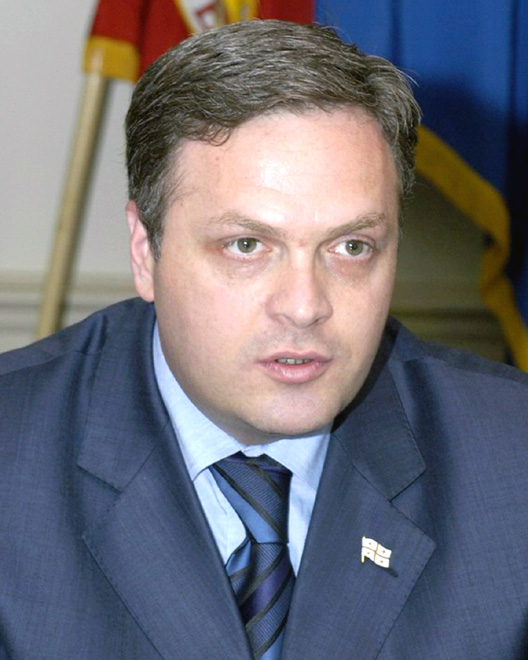 Georgia's vice PM discusses EU integration